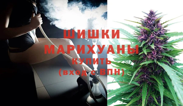 соль ск Богданович