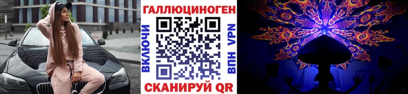 Галлюциногенные грибы Psilocybe  купить наркотики сайты  Козьмодемьянск 