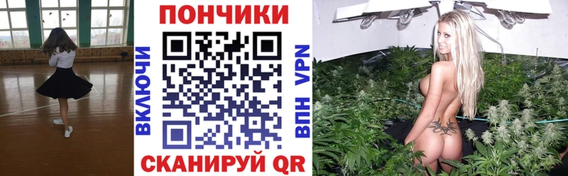 Бошки Шишки индика  купить наркоту  Козьмодемьянск 